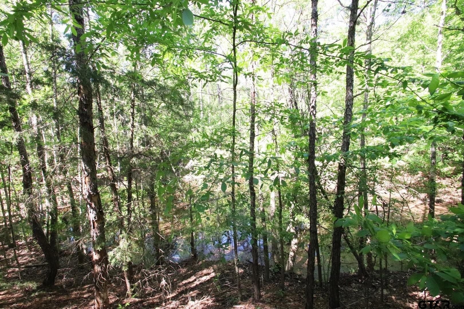 19.08 acres in Wood County - photo 28