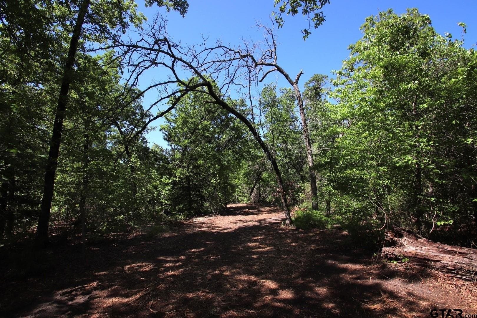 19.08 acres in Wood County - photo 14