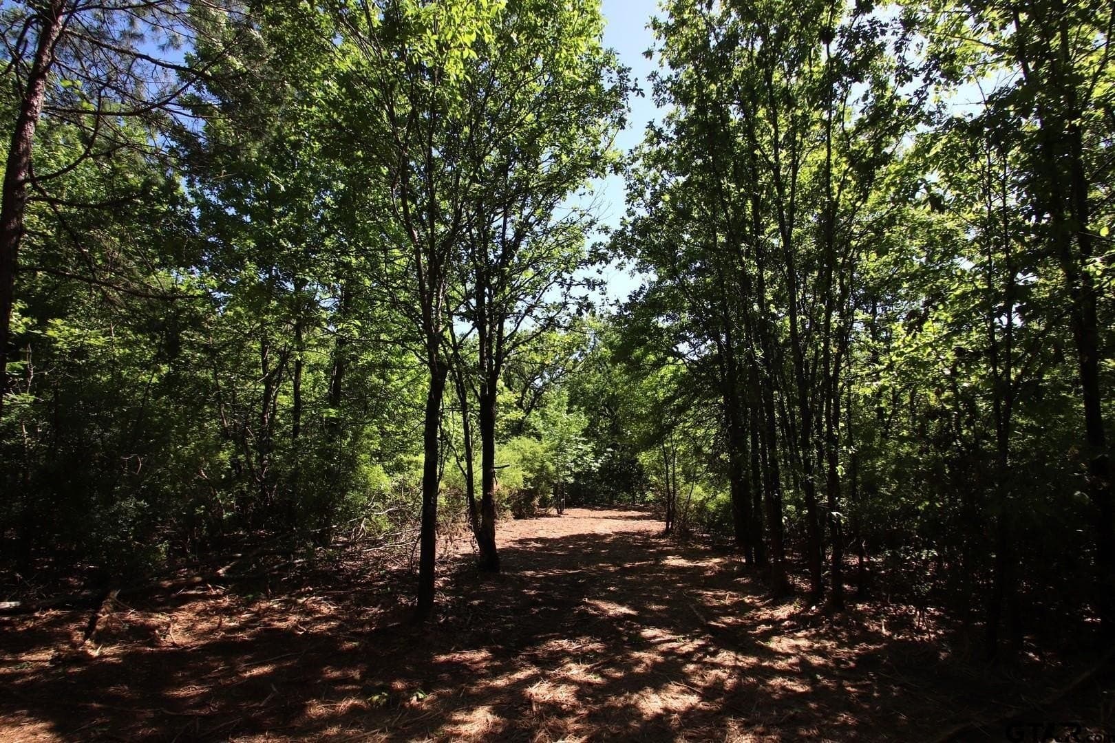 19.08 acres in Wood County - photo 21