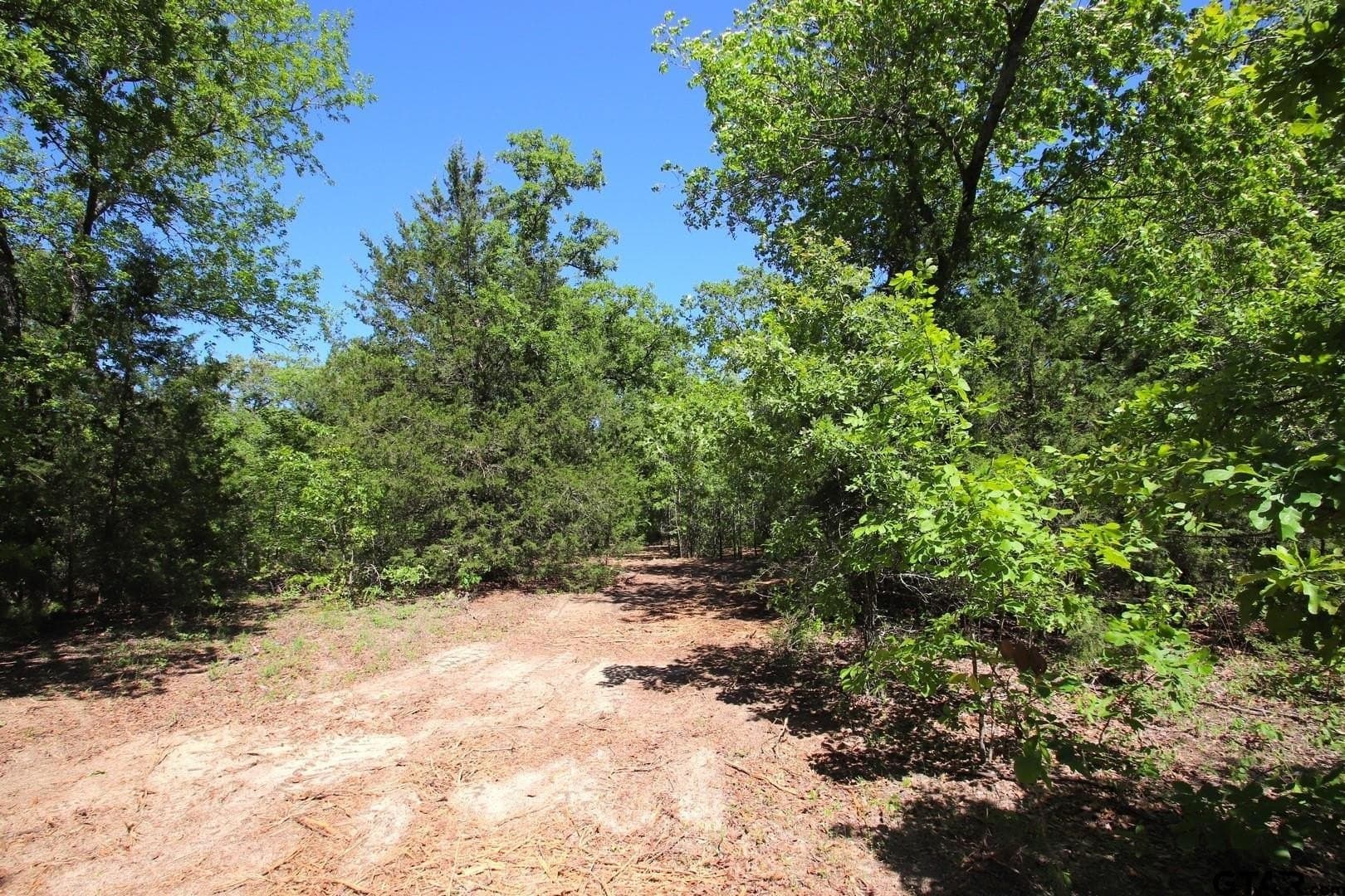 19.08 acres in Wood County - photo 6