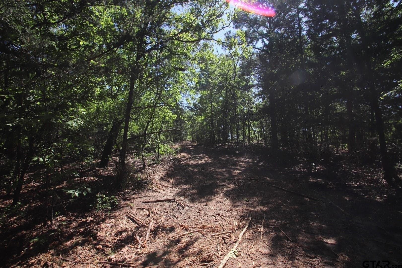19.08 acres in Wood County - photo 27