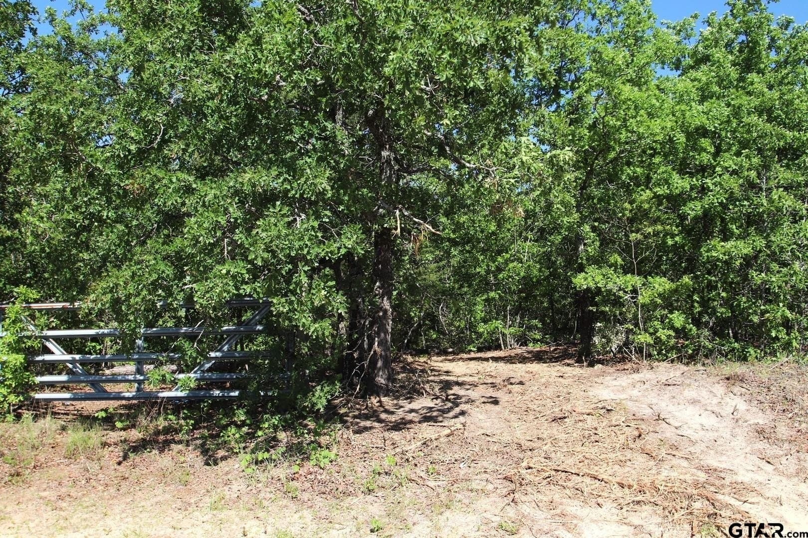 19.08 acres in Wood County - photo 45