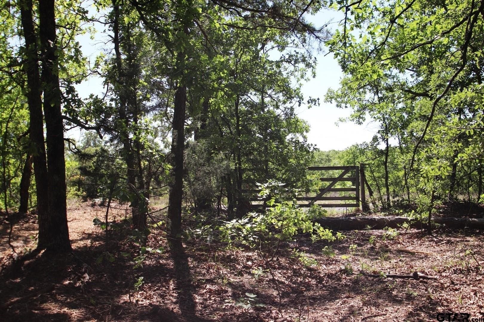 19.08 acres in Wood County - photo 44