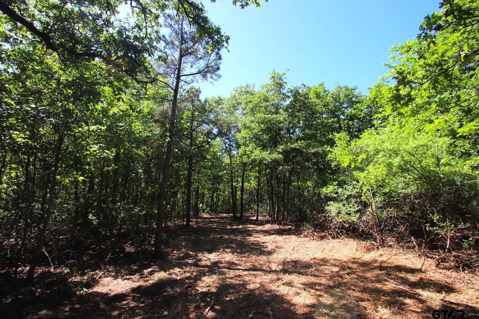 19.08 acres in Wood County - photo 19