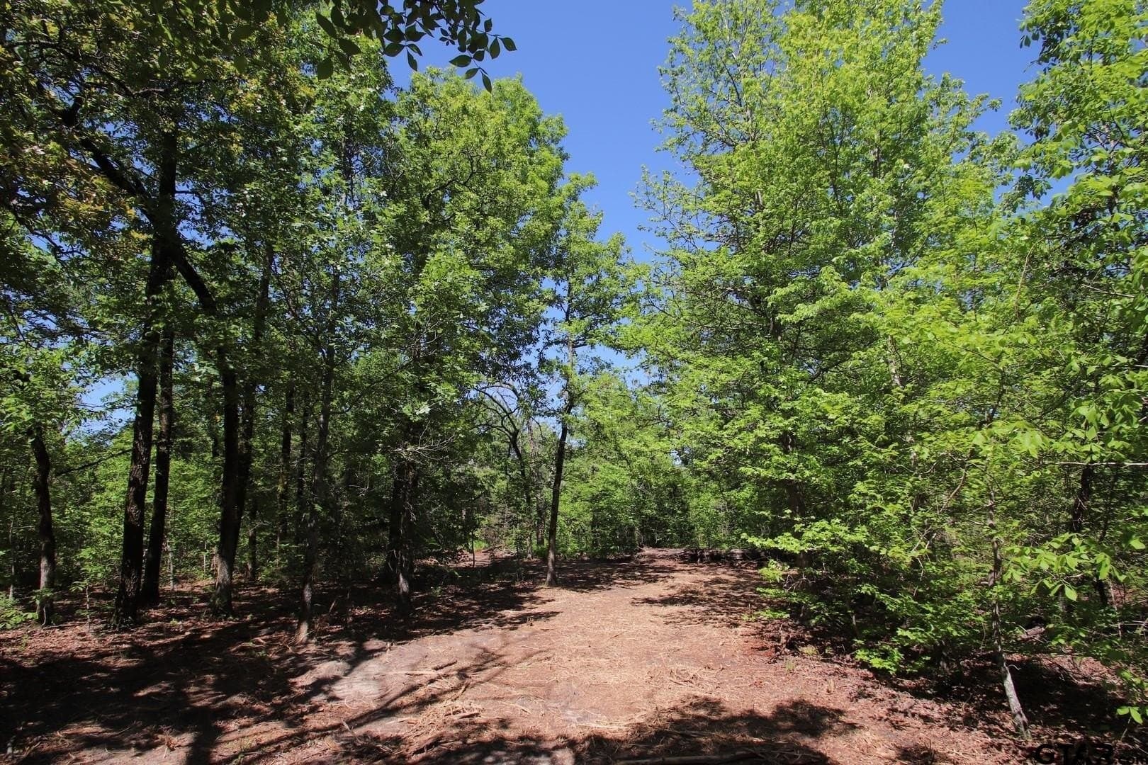 19.08 acres in Wood County - photo 12