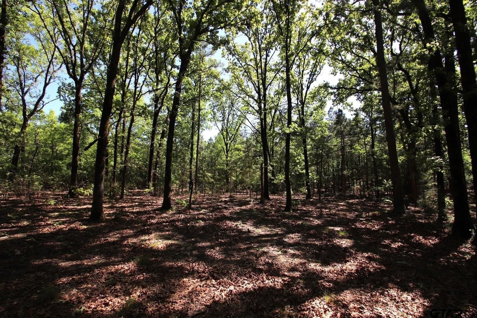 19.08 acres in Wood County - photo 39