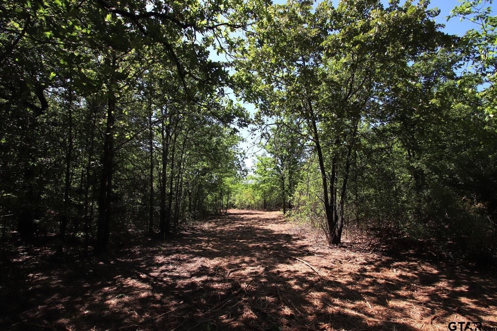 19.08 acres in Wood County - photo 23