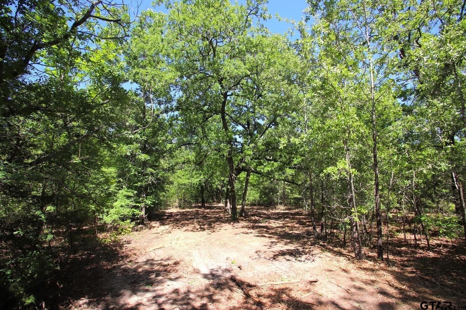 19.08 acres in Wood County - photo 7