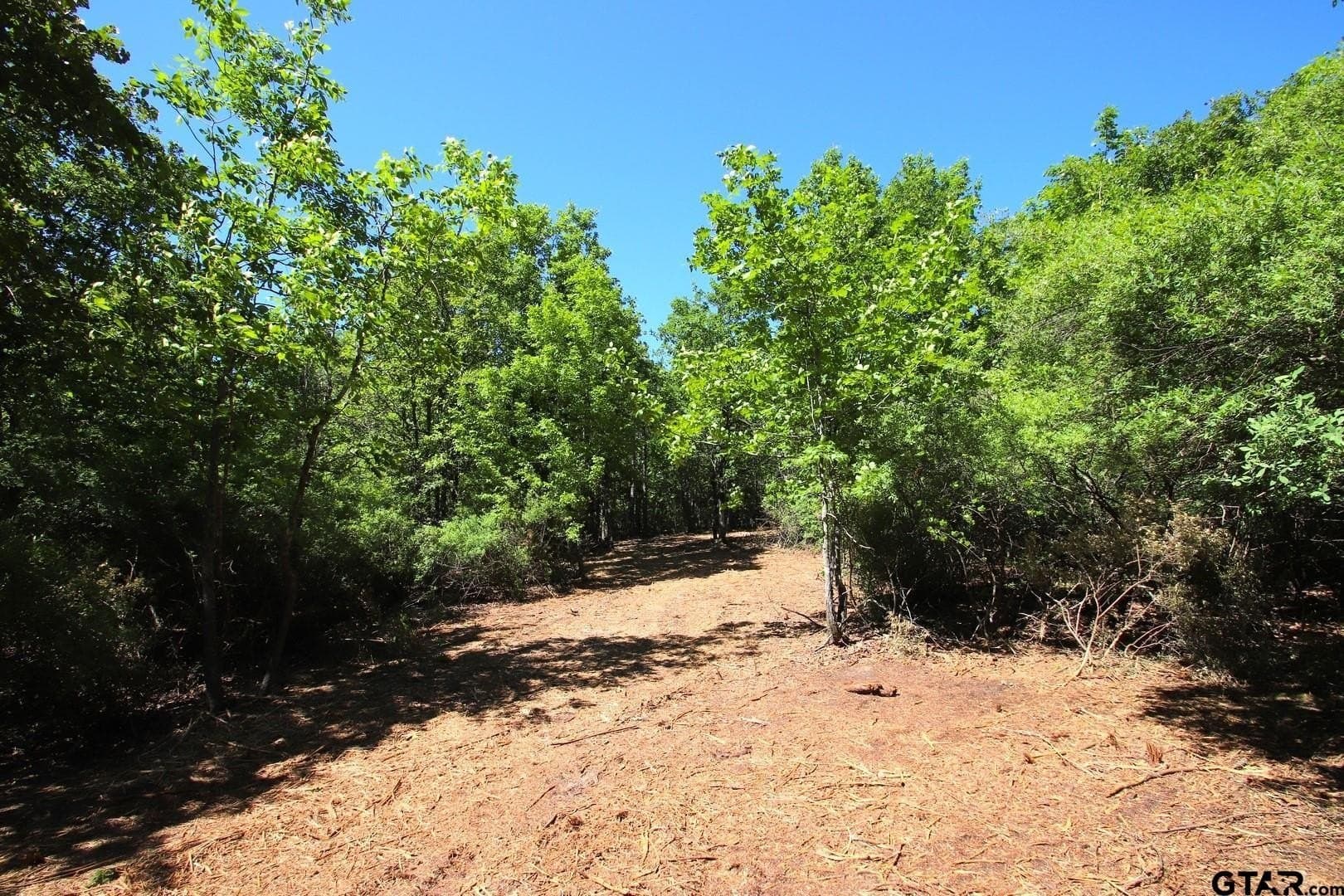 19.08 acres in Wood County - photo 22