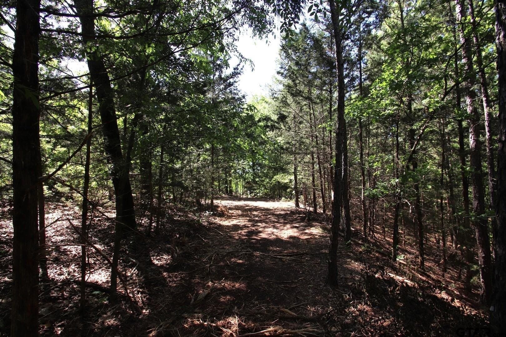 19.08 acres in Wood County - photo 29