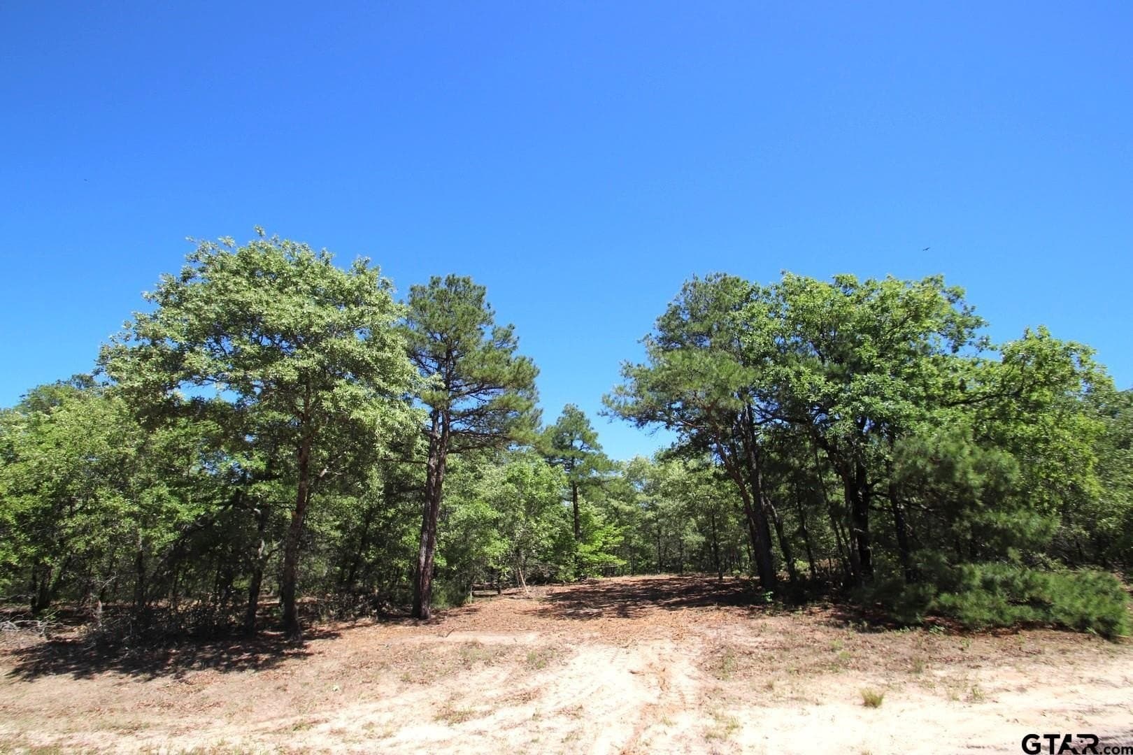 19.08 acres in Wood County - photo 3