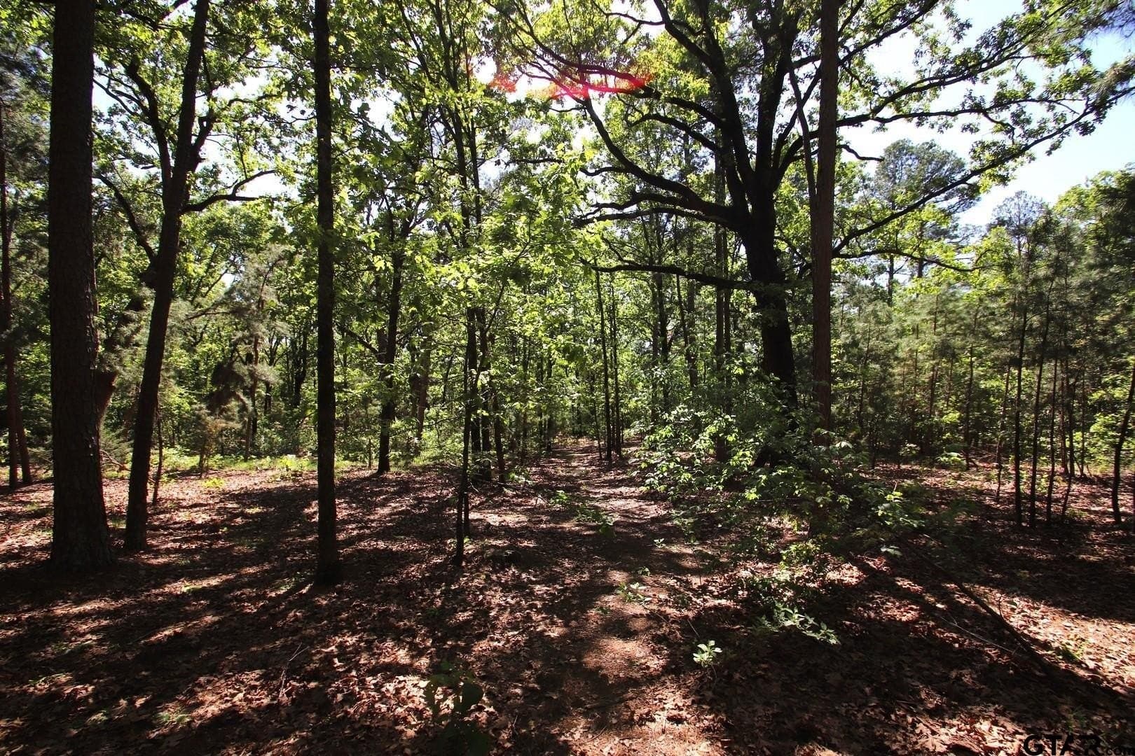 19.08 acres in Wood County - photo 34