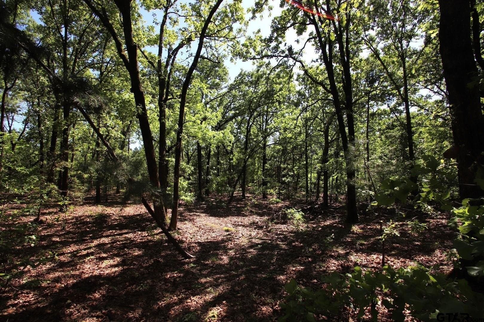19.08 acres in Wood County - photo 36