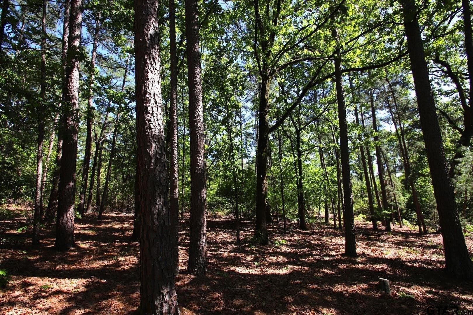 19.08 acres in Wood County - photo 41