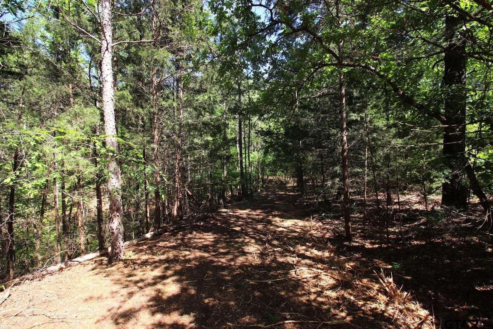 19.08 acres in Wood County - photo 24