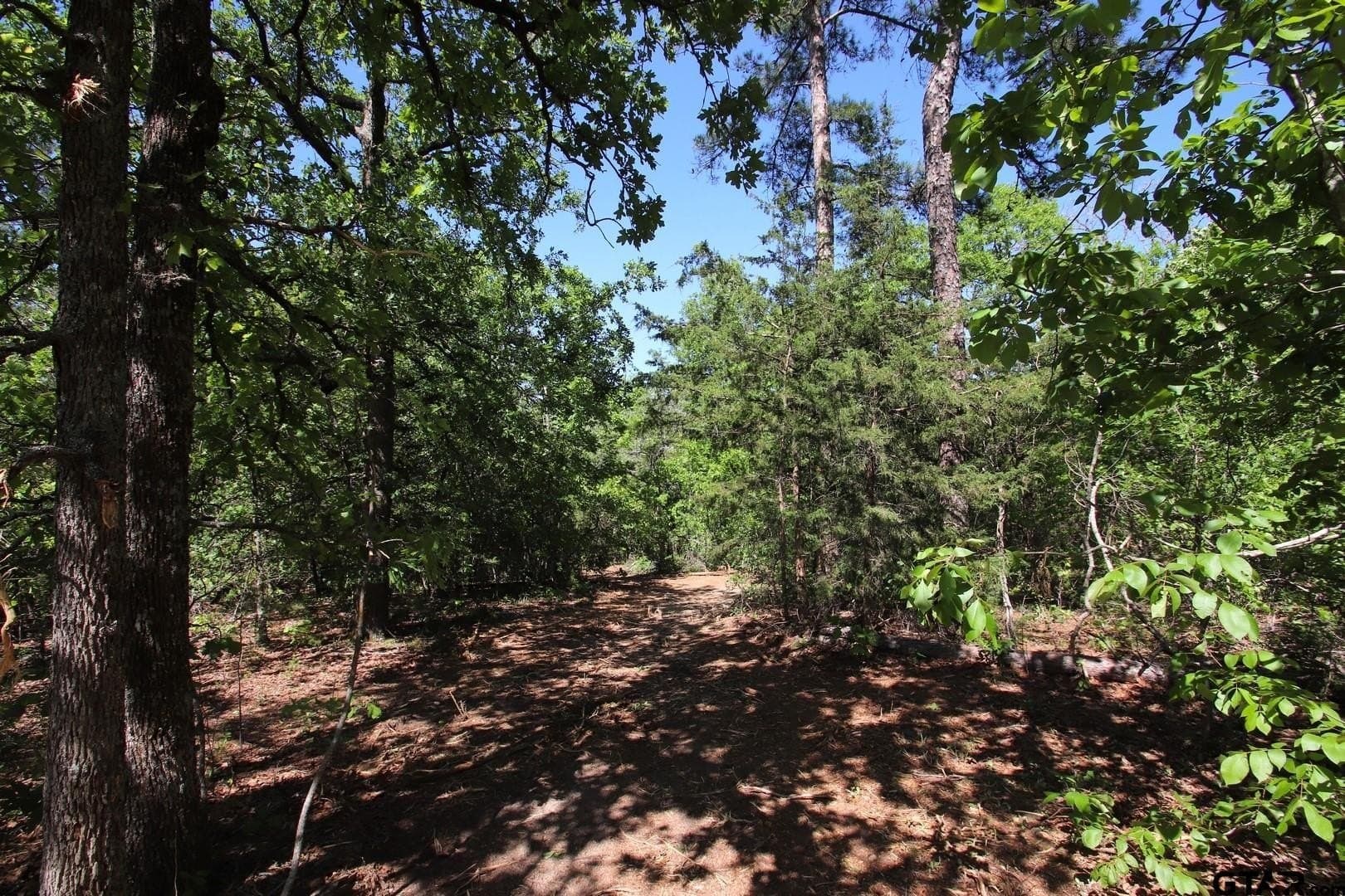 19.08 acres in Wood County - photo 25