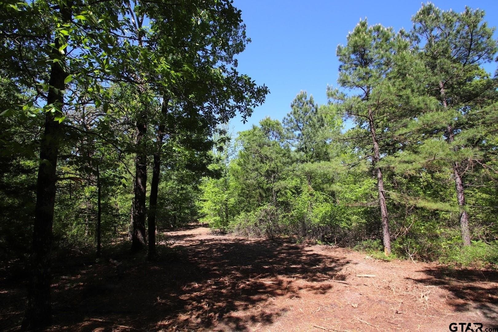 19.08 acres in Wood County - photo 11