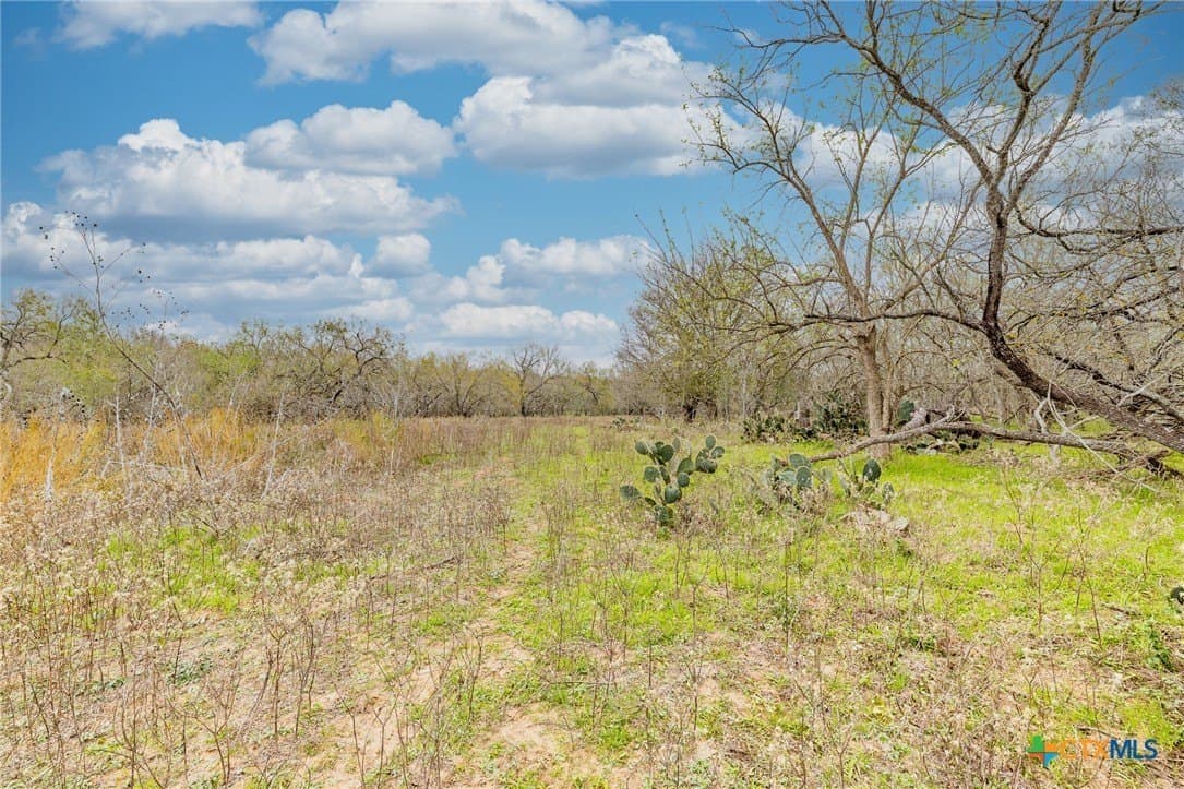 24.7 acres in Gonzales County - photo 24
