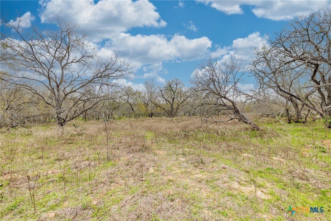 24.7 acres in Gonzales County - photo 25
