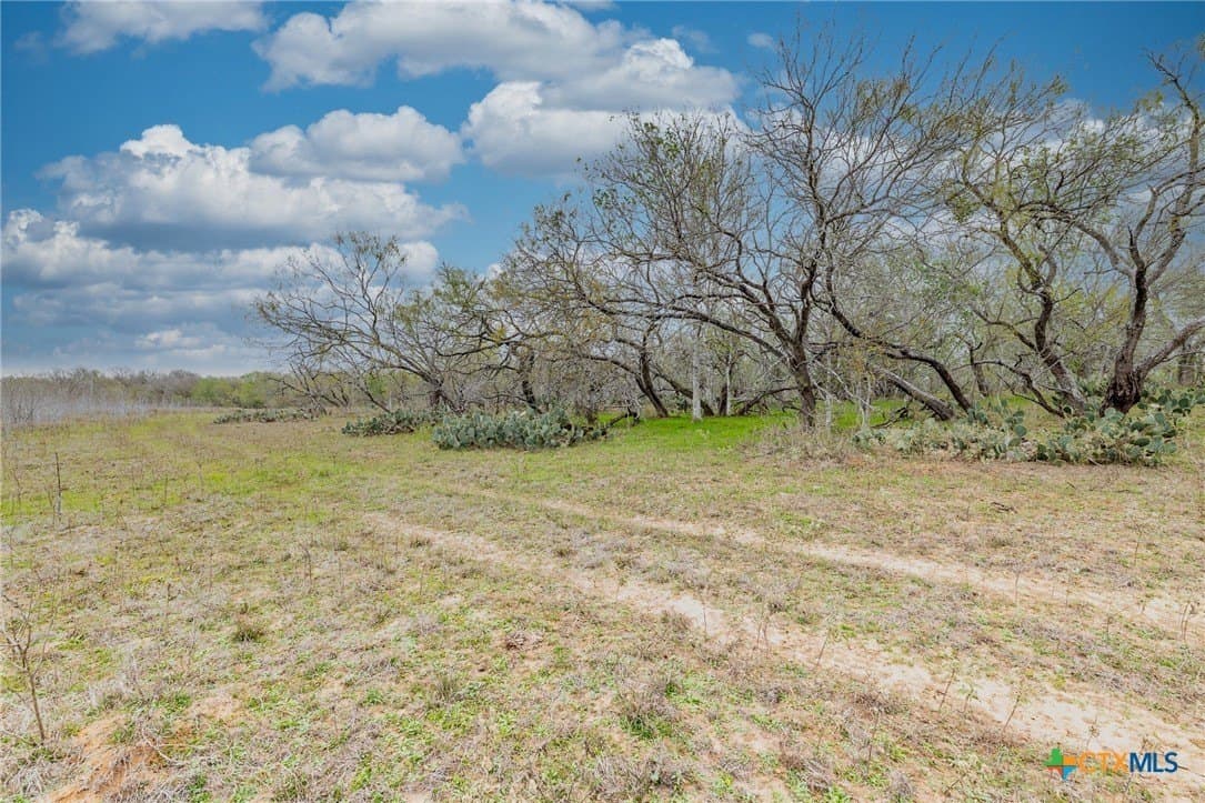 24.7 acres in Gonzales County - photo 21