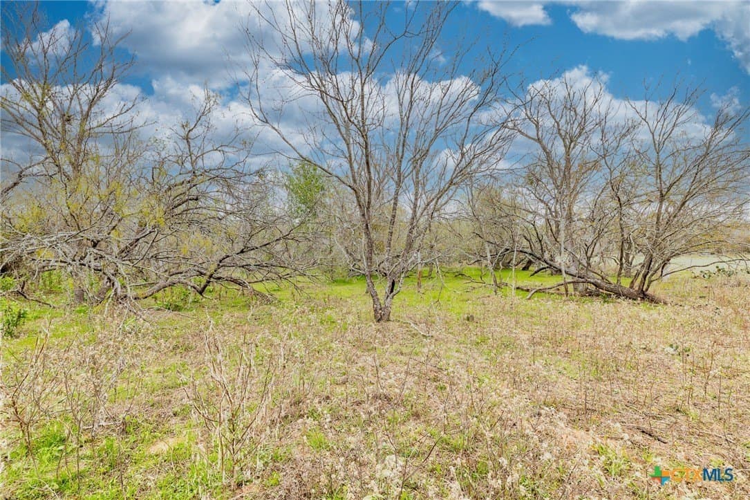 24.7 acres in Gonzales County - photo 27