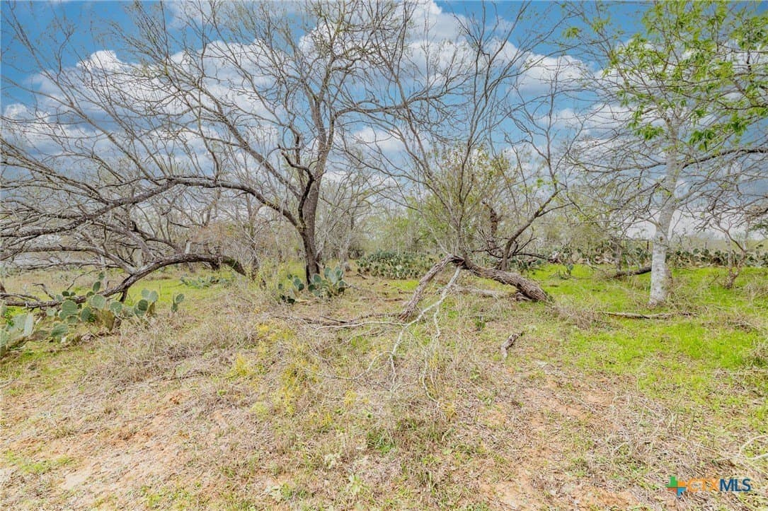 24.7 acres in Gonzales County - photo 19