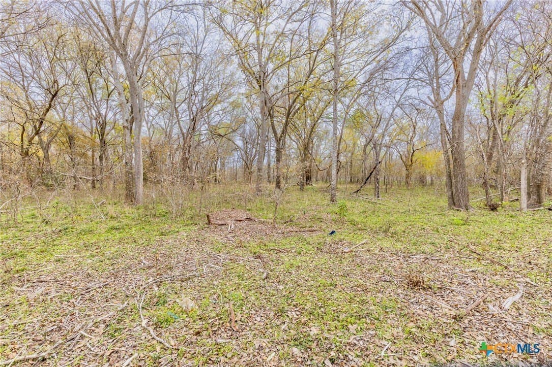 24.7 acres in Gonzales County - photo 6