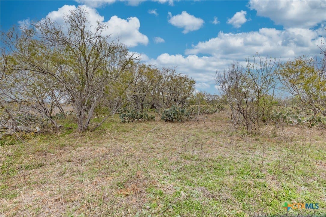 24.7 acres in Gonzales County - photo 13