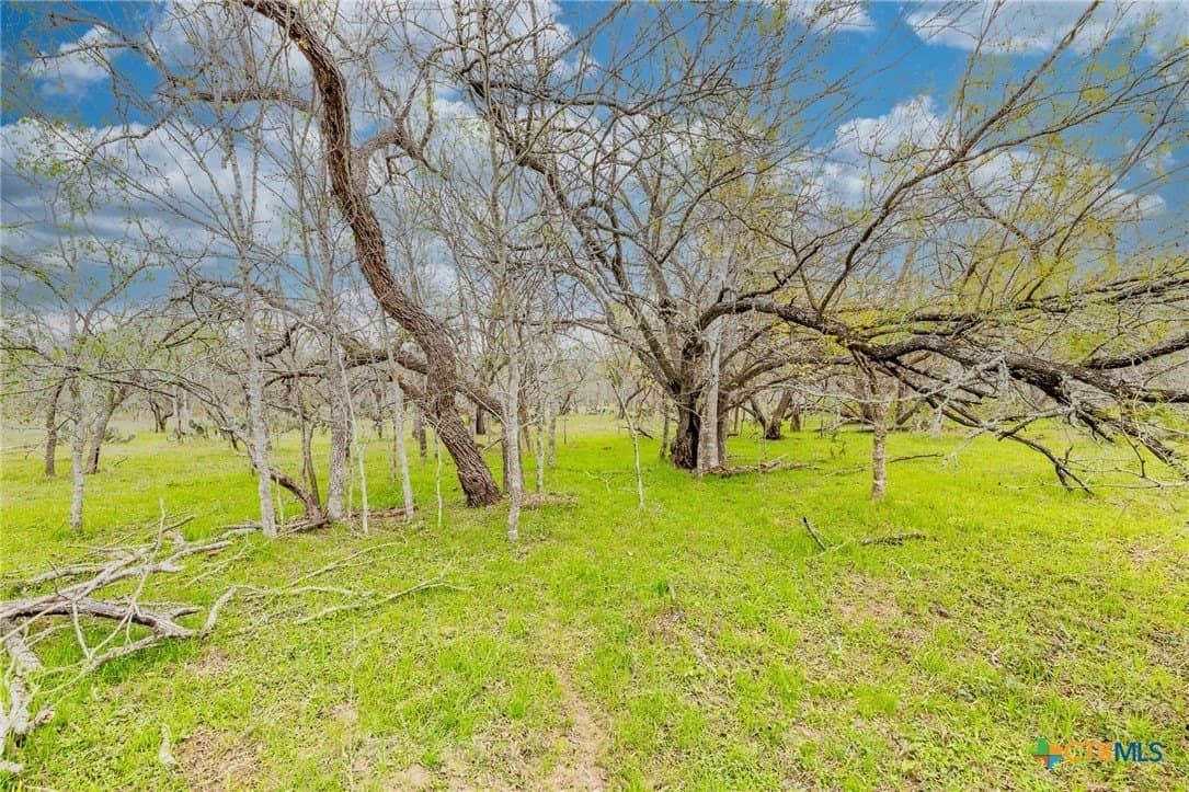 24.7 acres in Gonzales County - photo 26