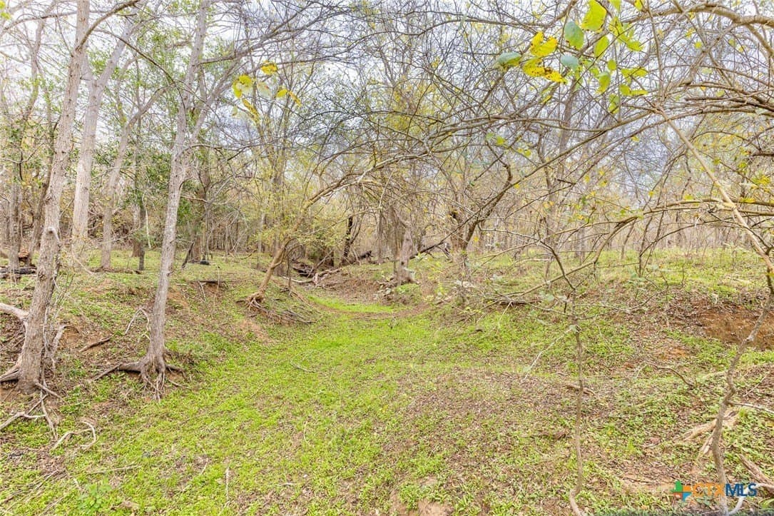 24.7 acres in Gonzales County - photo 5
