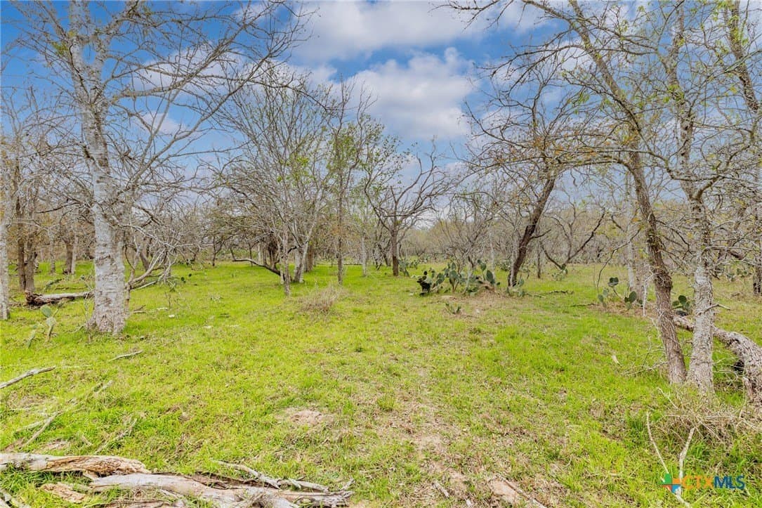 24.7 acres in Gonzales County - photo 28