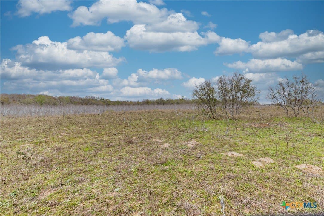 24.7 acres in Gonzales County - photo 10