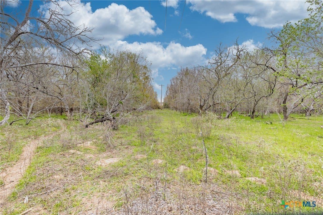 24.7 acres in Gonzales County - photo 4
