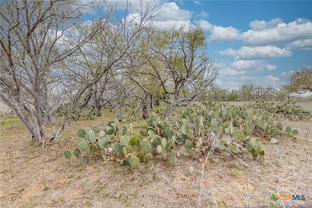 24.7 acres in Gonzales County - photo 14