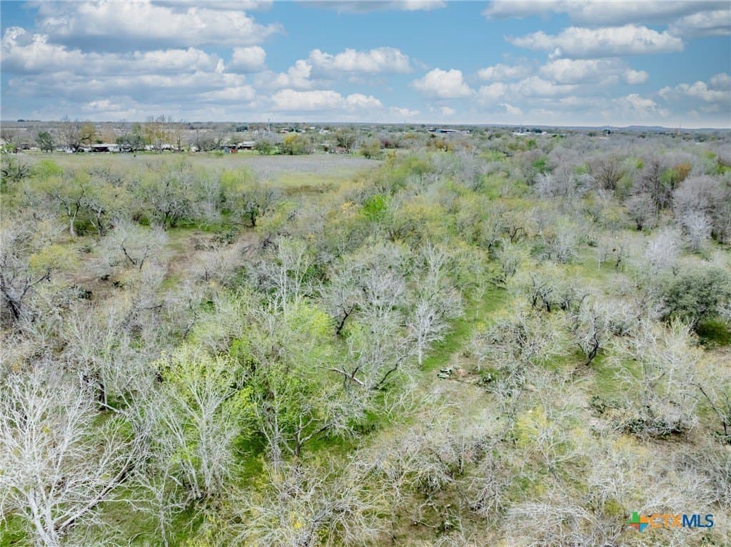 24.7 acres in Gonzales County - photo 37