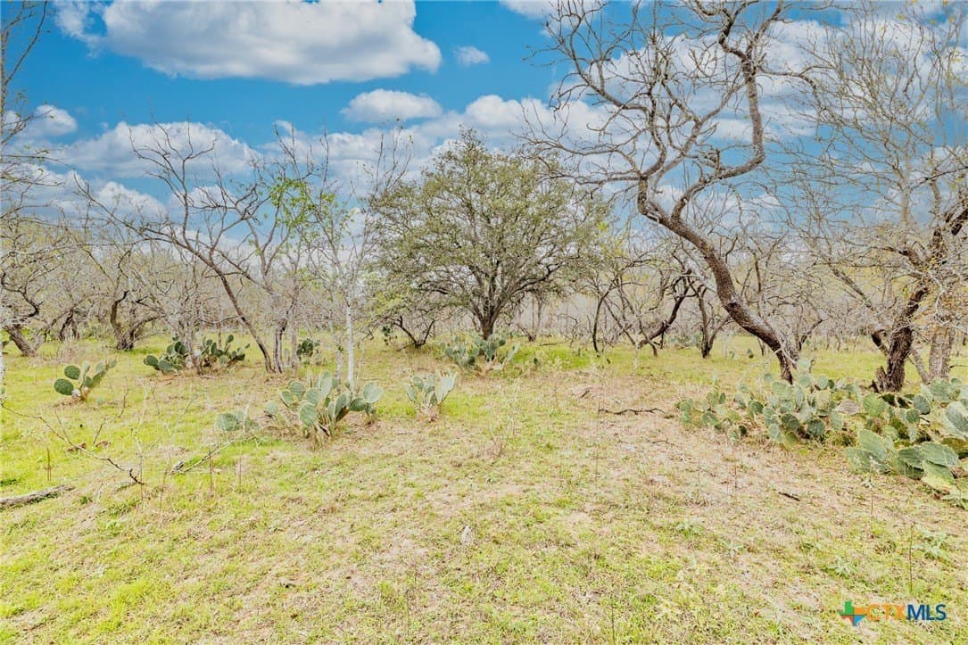 24.7 acres in Gonzales County - photo 29
