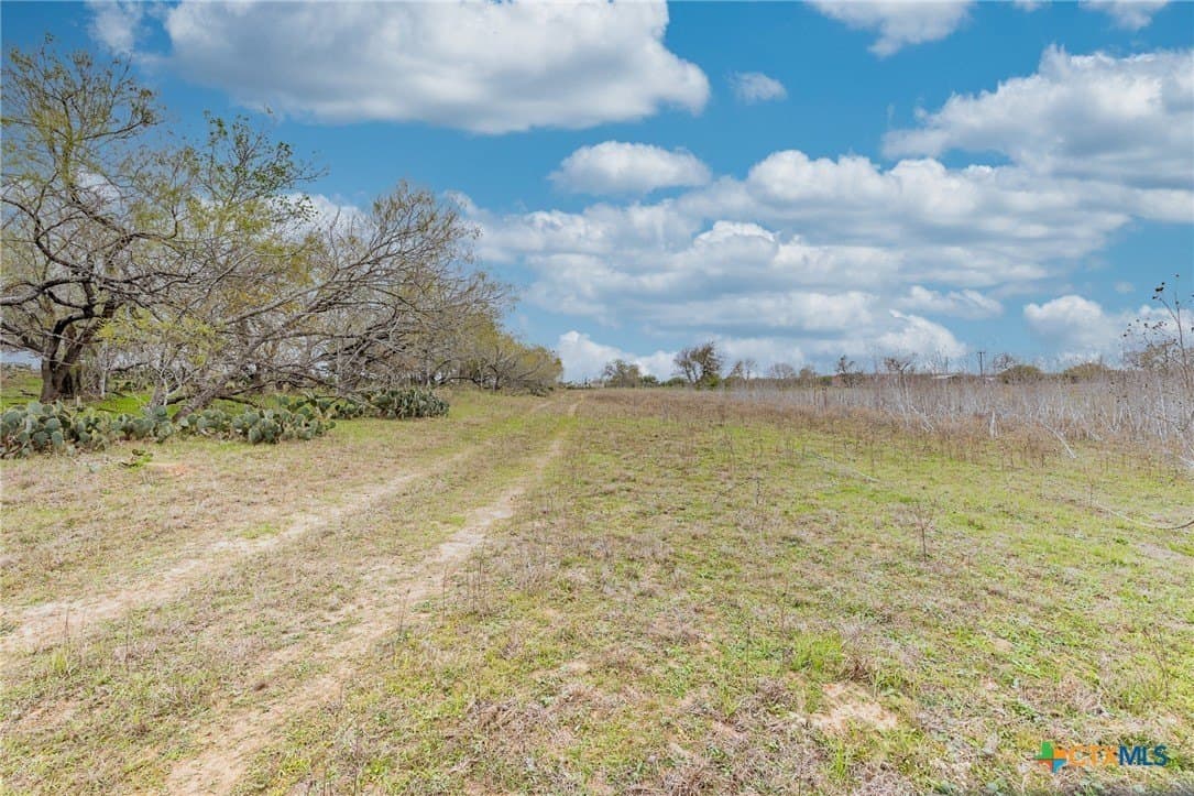 24.7 acres in Gonzales County - photo 11