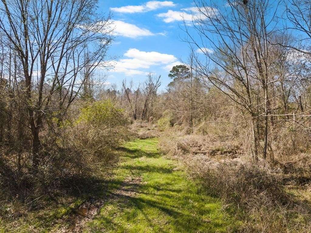 74.98 acres in Morris County - photo 8