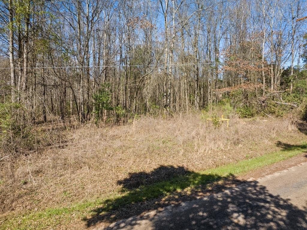 74.98 acres in Morris County - photo 7