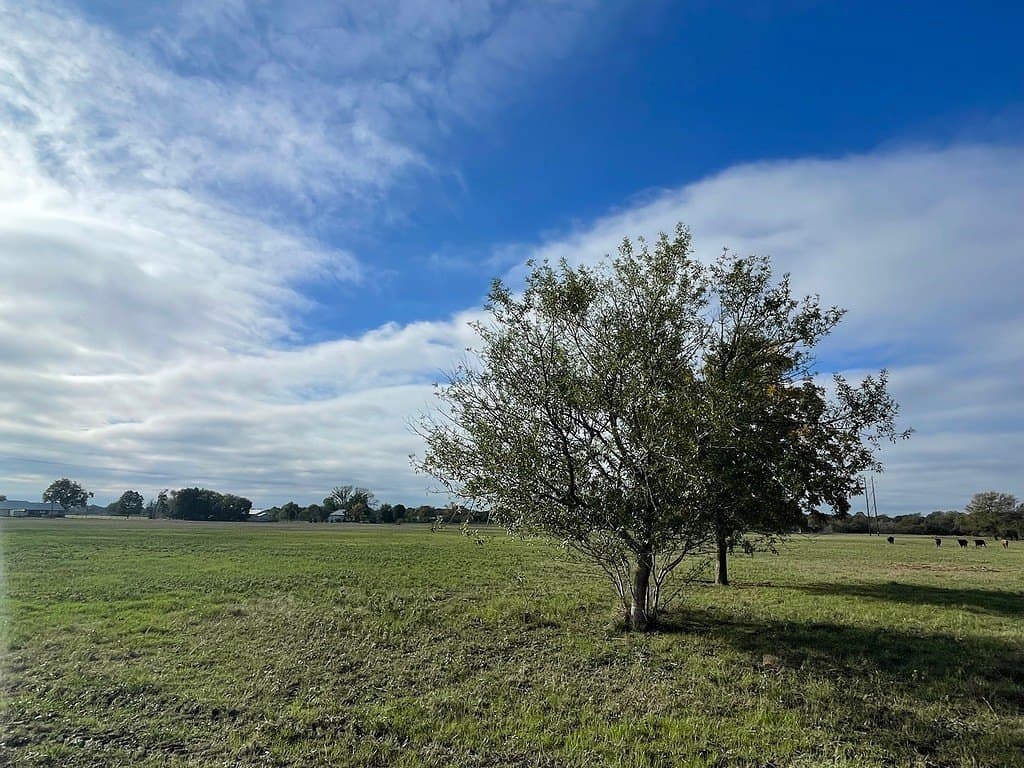 10.82 acres in Fayette County - photo 9