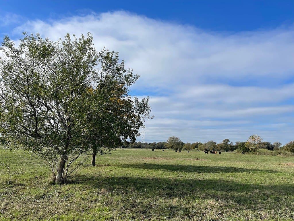 10.82 acres in Fayette County - photo 2