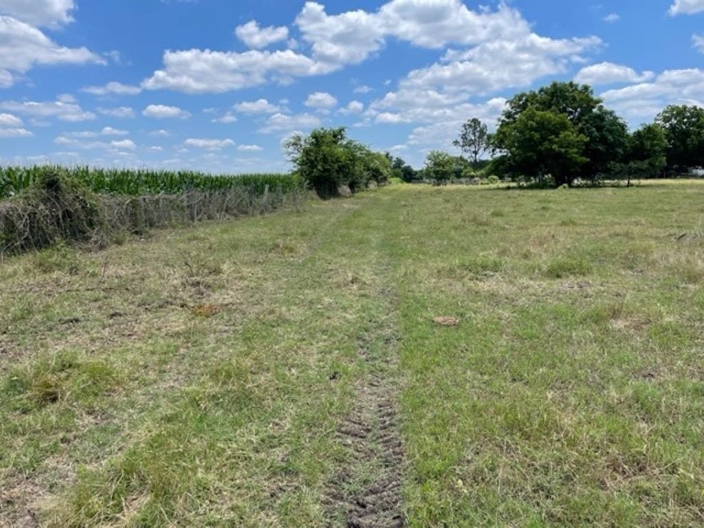 10.82 acres in Fayette County - photo 4