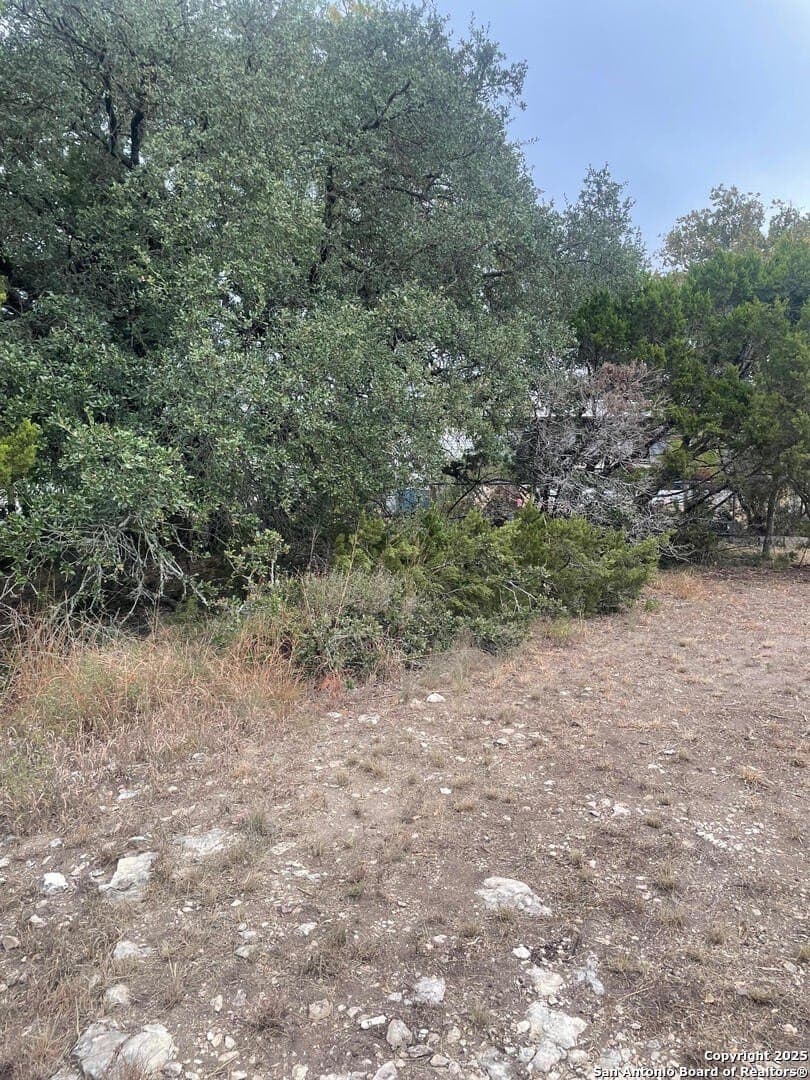 0.22 acres in Comal County - photo 9