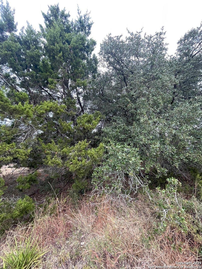 0.22 acres in Comal County - photo 6