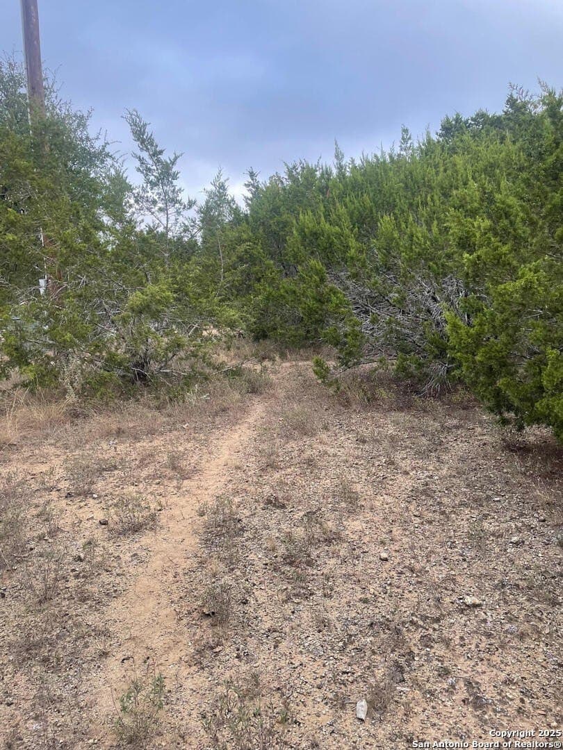0.22 acres in Comal County - photo 4