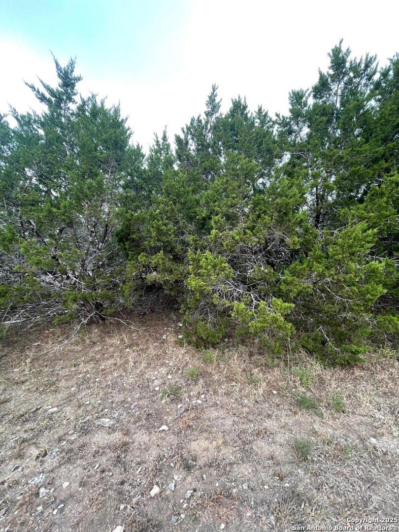 0.22 acres in Comal County - photo 5