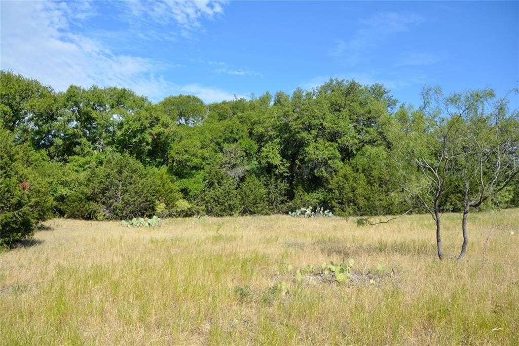 55 acres in Lampasas County - photo 15