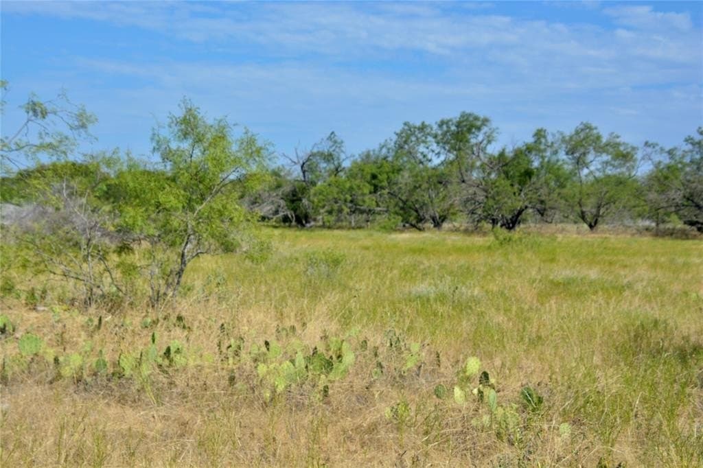 55 acres in Lampasas County - photo 4