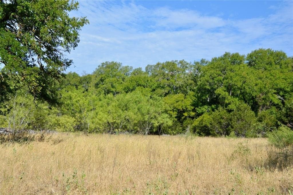 55 acres in Lampasas County - photo 16