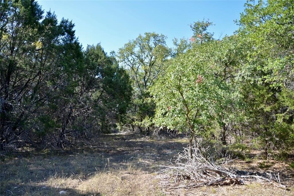 55 acres in Lampasas County - photo 28